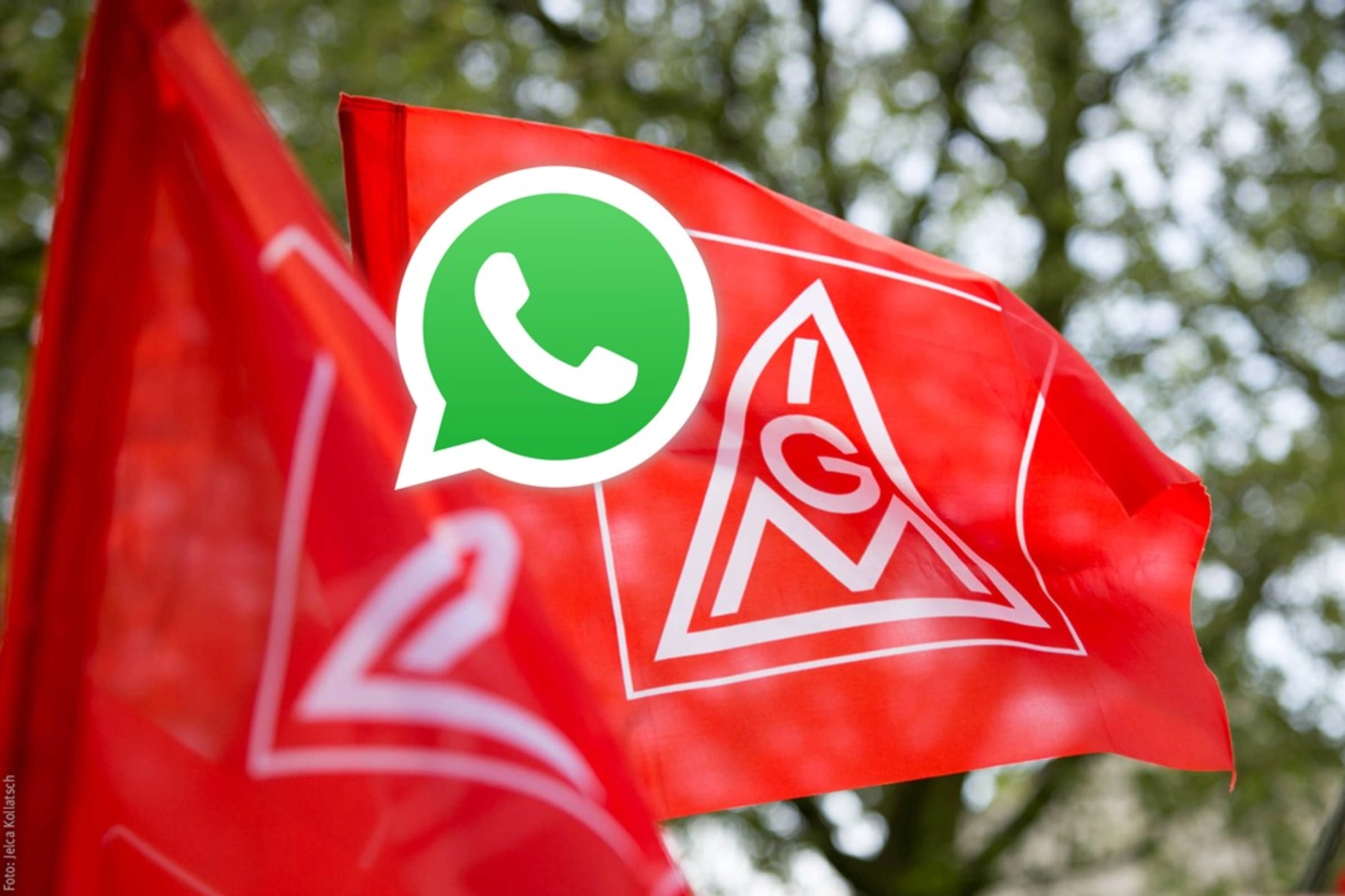 Whatsapp breit