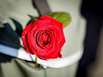 Internationaler Frauentag am 08. März